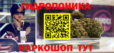 прущая мука Кингисепп