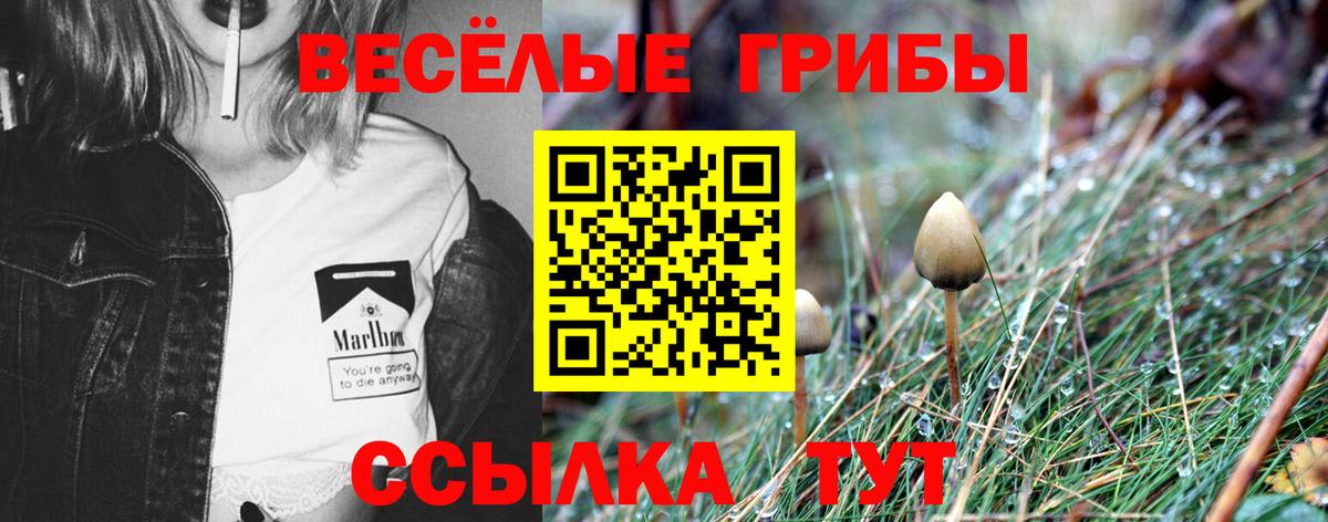 Канабис Котовск