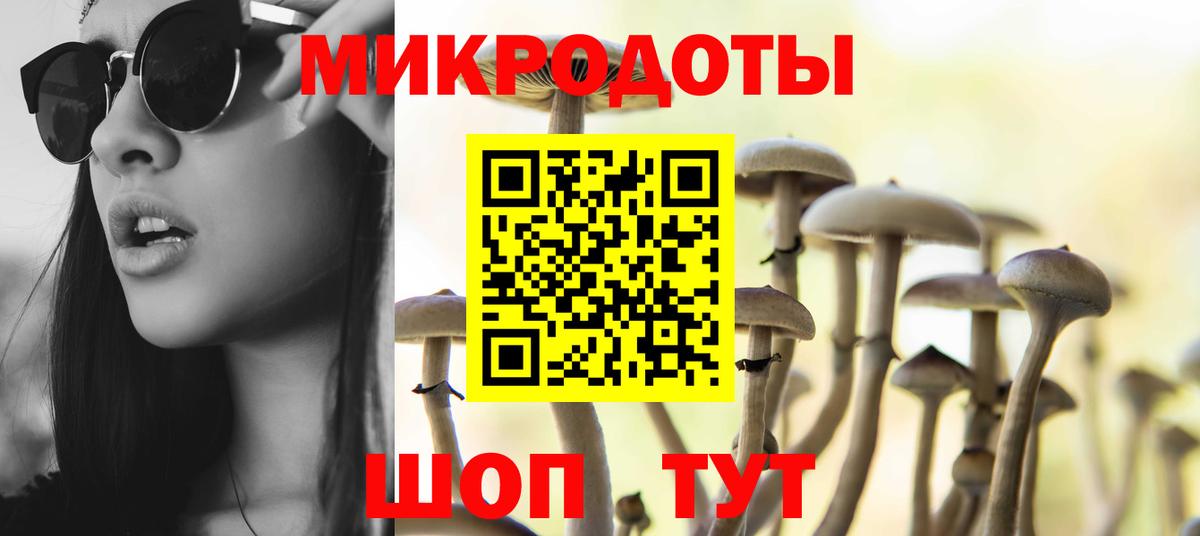 Псилоцибиновые грибы Cubensis  где найти наркотики  Галлюциногенные грибы Psilocybine cubensis  Котовск  Вход с VPN 