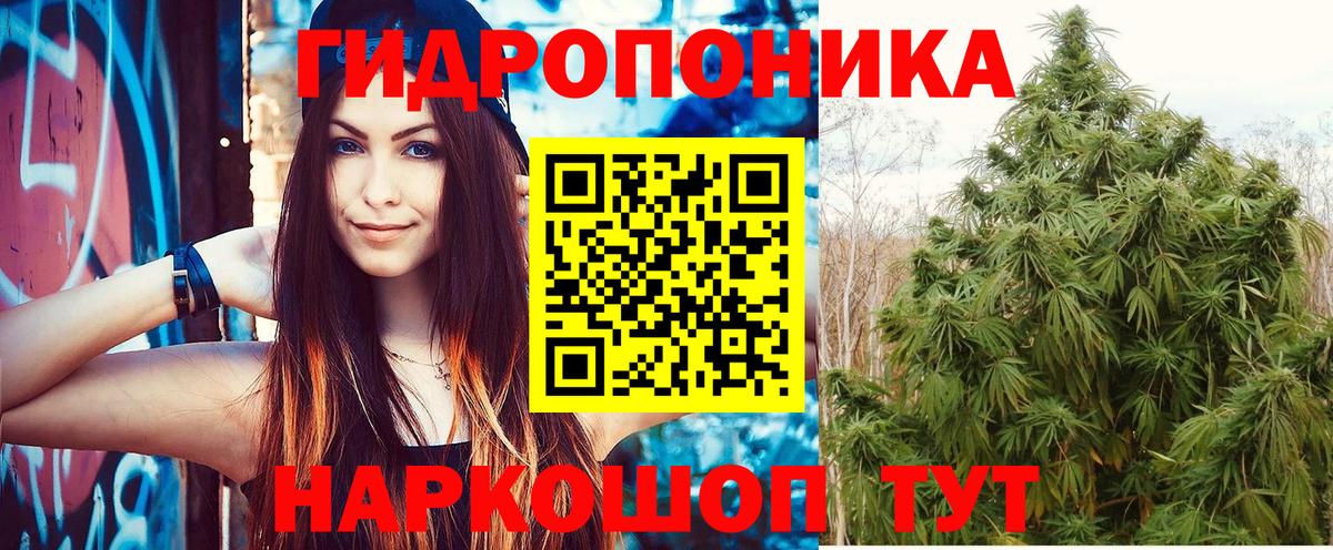 Бошки марихуана THC 21% Котовск